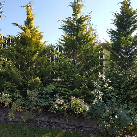 Holiday home Village Coop Dobrinishte