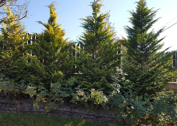 펜션 Къщи За Гости Кооп Добринище - Holiday Villages Coop Dobrinishte 도브리니쉬트